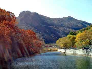 新澳天天开奖资料大全旅游团，漂亮的符号组合